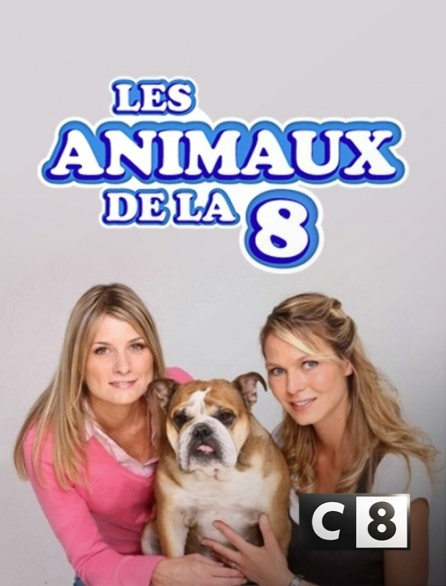 Les animaux de la 8 – C8