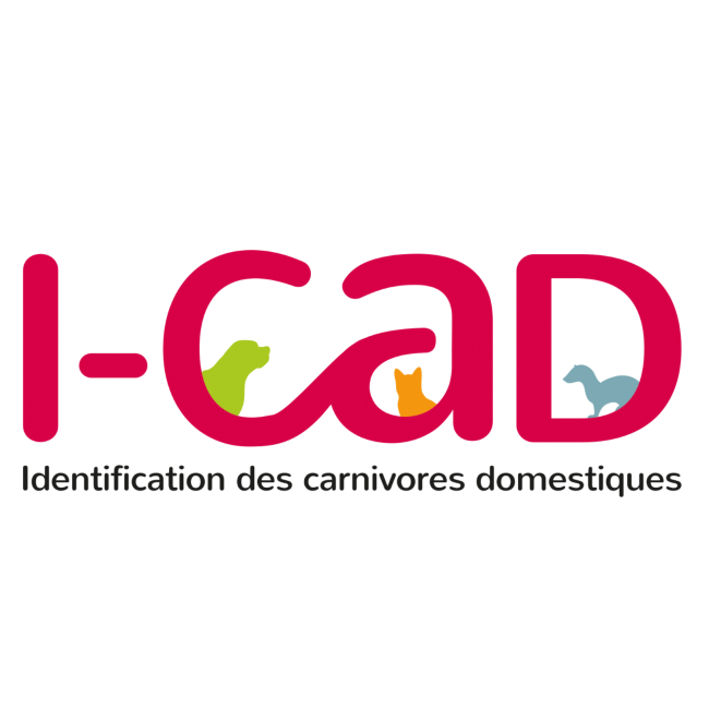 18 – I-cad