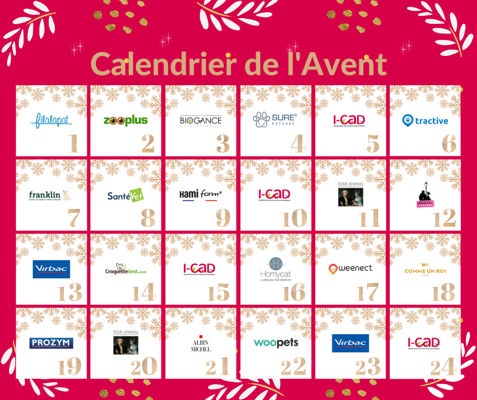 En attendant NOËL …