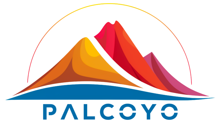 Agence Web Palcoyo